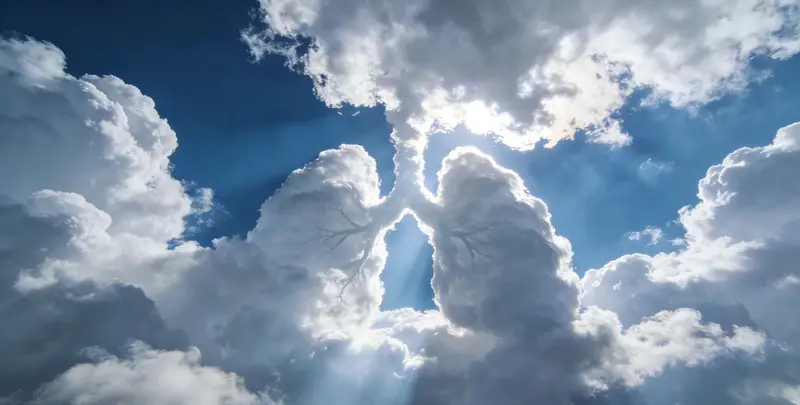 自贡肺癌8基因突变检测（组织）图片1