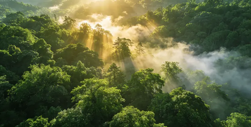 自贡肺癌靶向39基因检测及PDL122C3表达检测套餐（组织）图片1