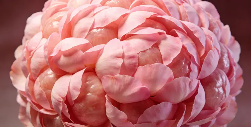 自贡BRCA1/2乳腺癌卵巢癌基因检测图片1